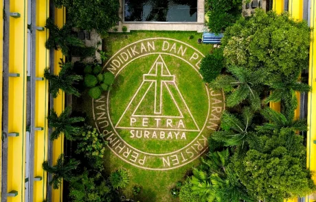 School Garden (aerial)